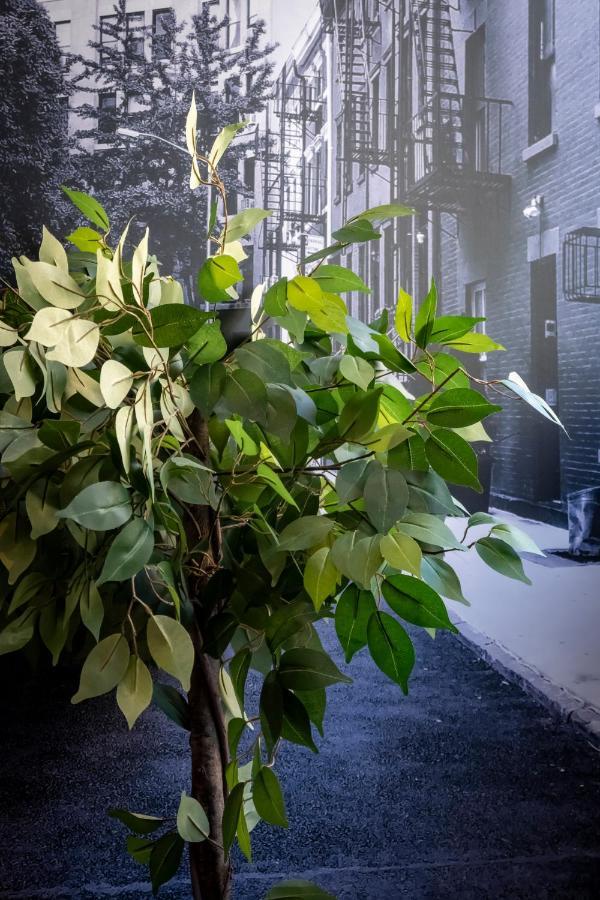 Superbe Appartement Avec Patio Nîmes Exteriör bild